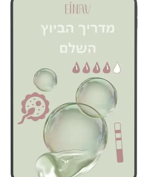 מדריך הביוץ השלם