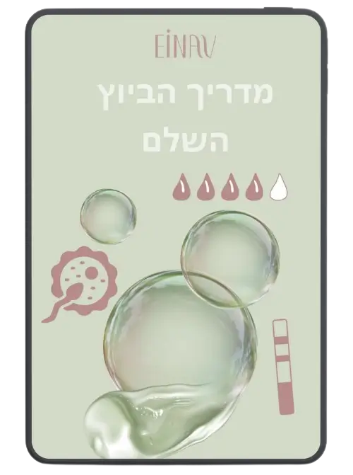 מדריך הביוץ השלם